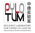 Logo Pylotum